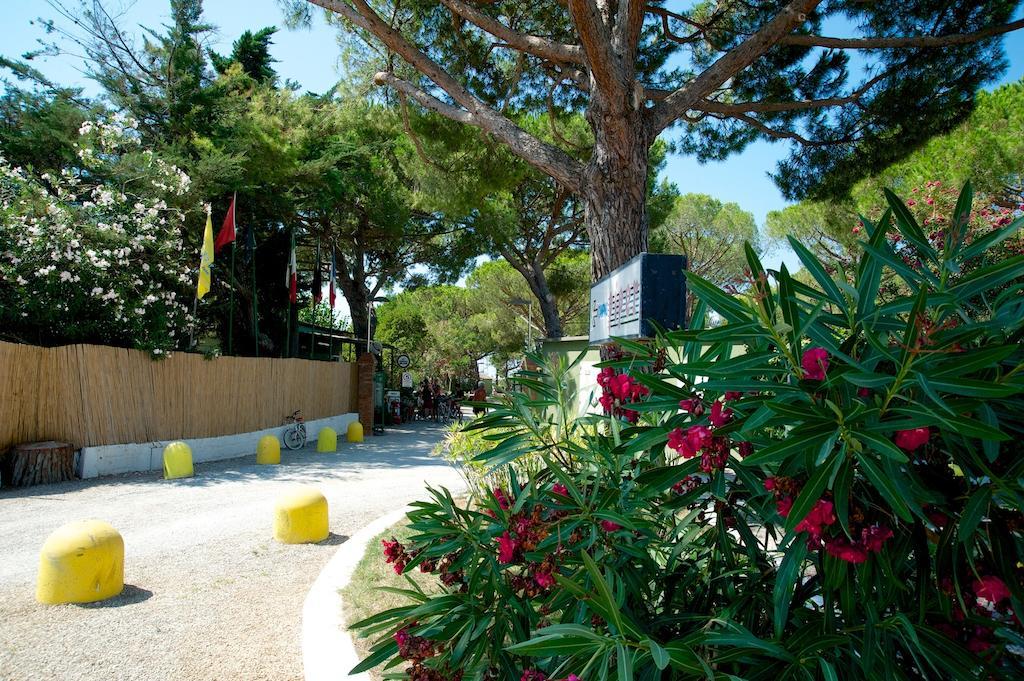Camping Piper Puntone di Scarlino Exterior foto